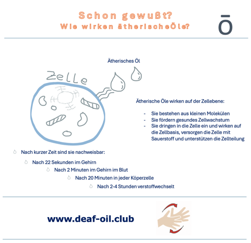 Wie wirken ätherische Öle?